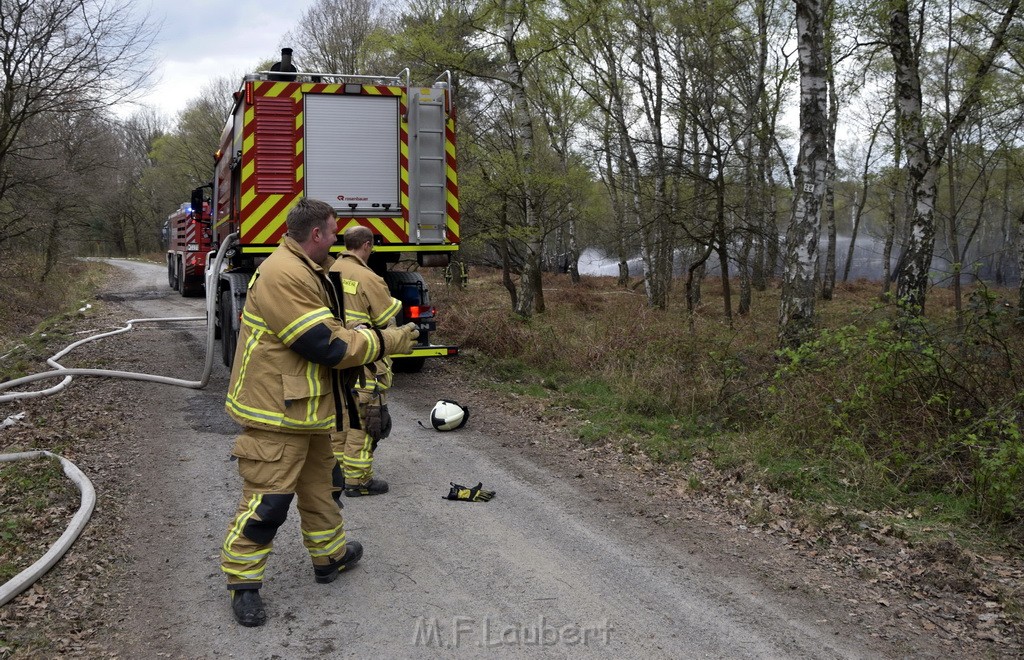 Waldbrand Wahner Heide Troisdorf Eisenweg P116.JPG - Miklos Laubert